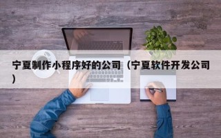 临沂宁夏制作小程序好的公司（宁夏软件开发公司）
